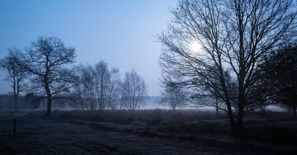 Being Pagan - The Irish Pagan School