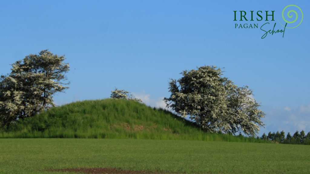 ine-goddess-and-queen-of-the-sidhe-the-irish-pagan-school