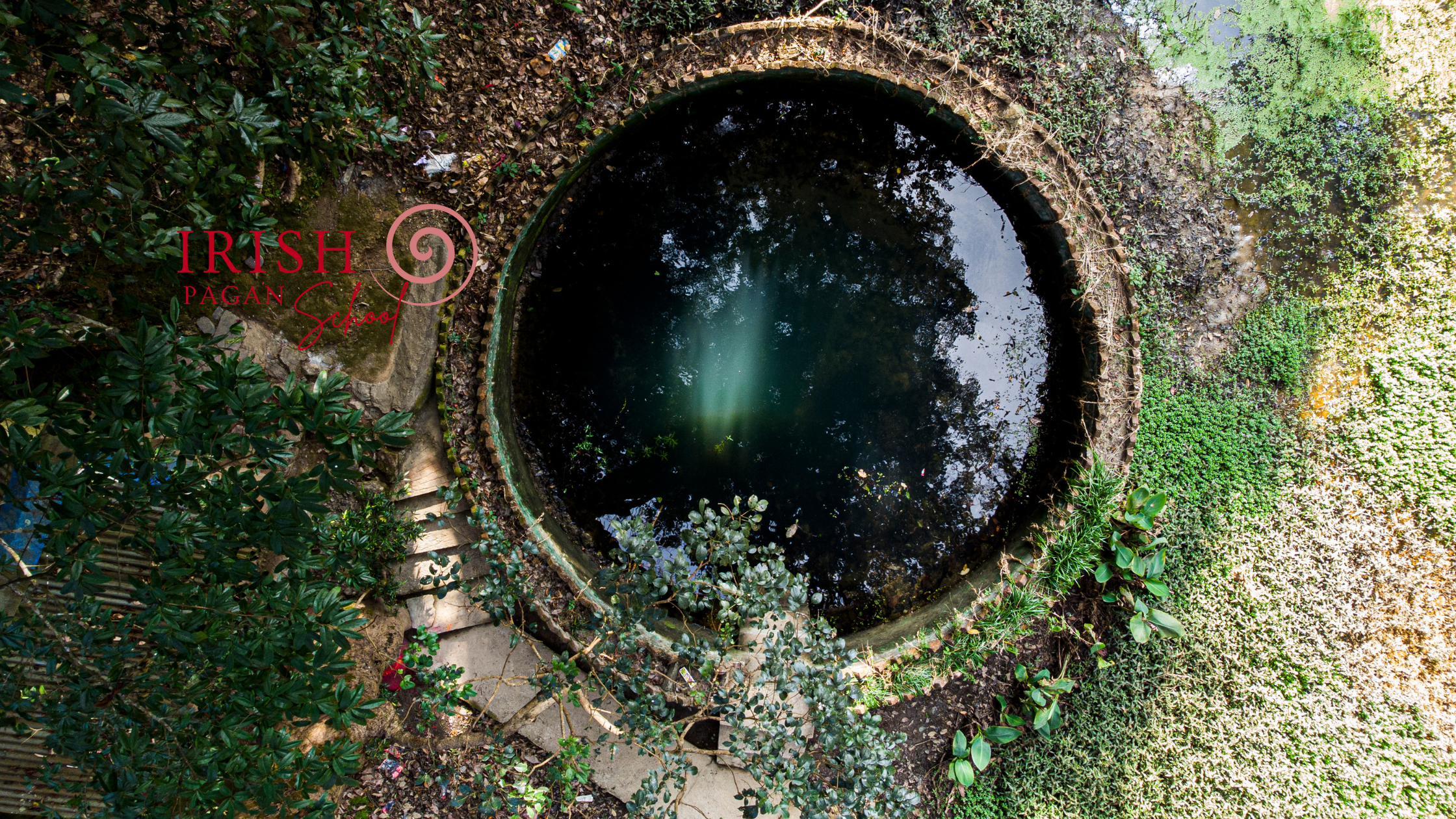 An aerial view of a sacred well surrounded by lush greenery, symbolising the enduring connection of Brigid to holy wells and the natural world. The reflective surface of the water contrasts with the vibrant foliage, evoking themes of renewal and spiritual depth. The Irish Pagan School logo is overlaid, connecting the image to the blog post's focus on Brigid as both goddess and saint.