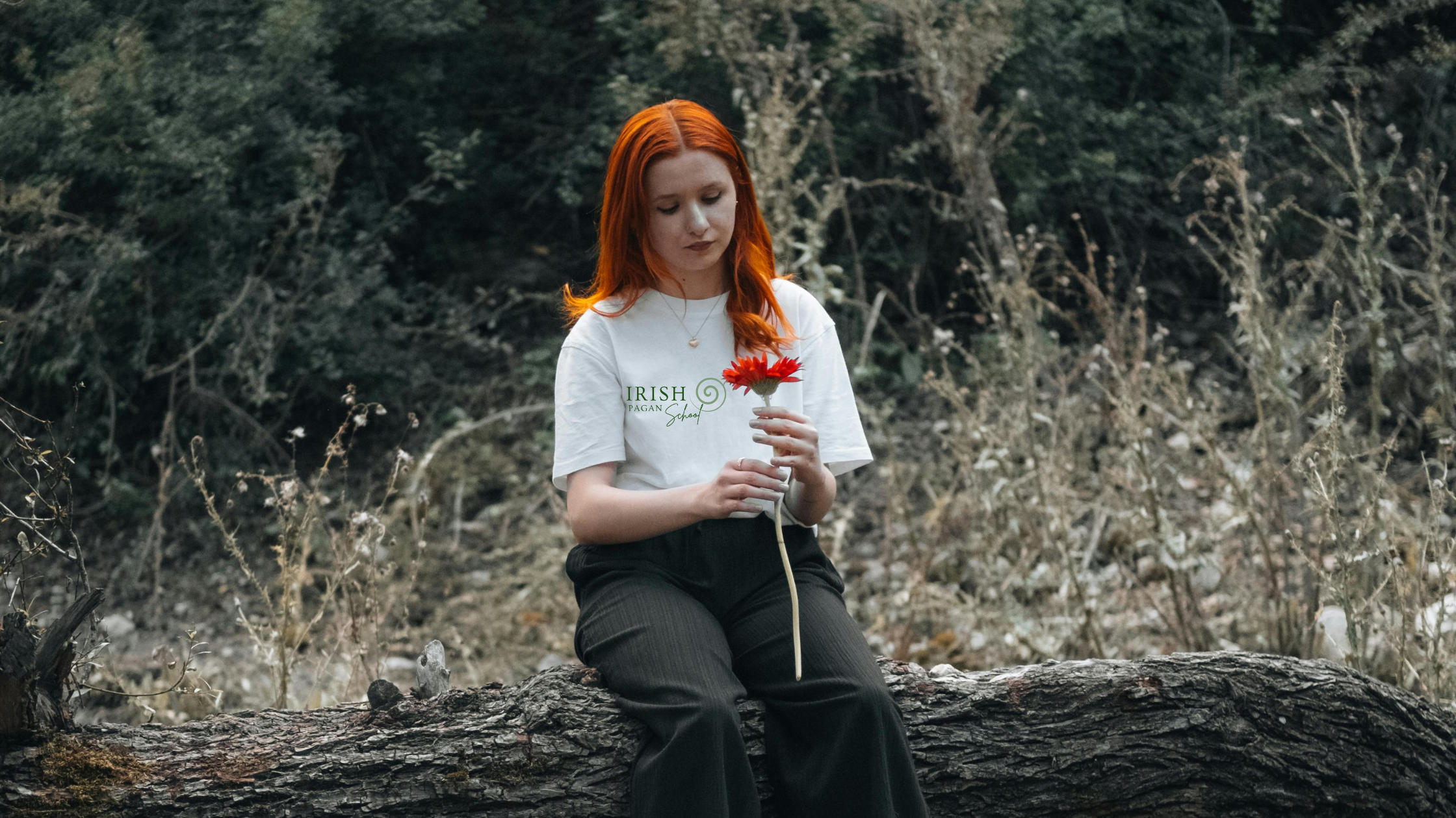 A Celtic-inspired scene featuring a young woman with red hair sitting on a fallen tree in a wild natural setting, holding a red flower. She wears an Irish Pagan School t-shirt, evoking themes of nature, spirituality, and ancient traditions. Related to the blog post: 'Celtic Witches, Druids, and Pagans – What’s the Difference?